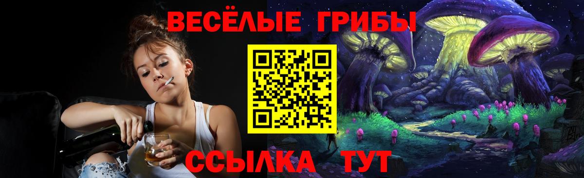 Галлюциногенные грибы Psilocybine cubensis  Вход с VPN  Кириши 